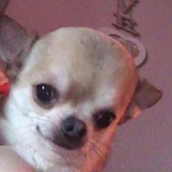 Meet your Posher, Lanky - Picture 1 of 1